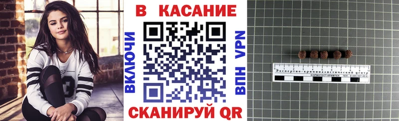 A PVP Таруса