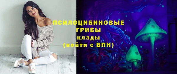 крисы Саяногорск