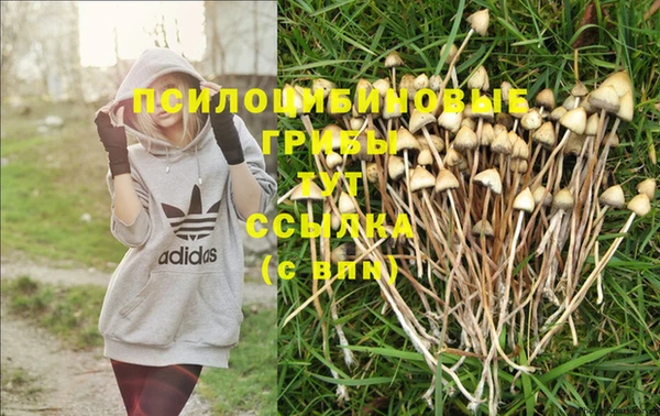 стафф Сатка
