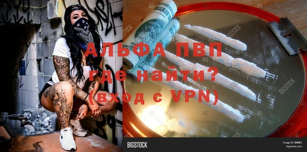 стафф Сатка