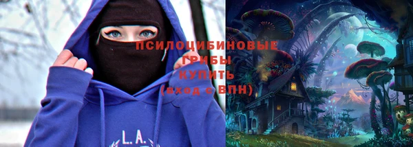 крисы Саяногорск