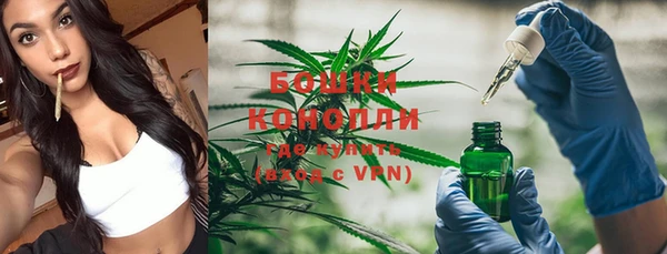 крисы Саяногорск