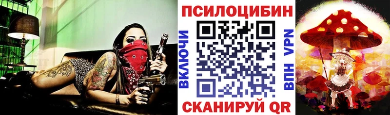 Псилоцибиновые грибы прущие грибы  Купить где  Таруса 