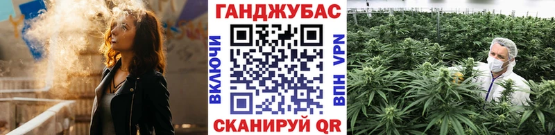 МАРИХУАНА сатива Таруса